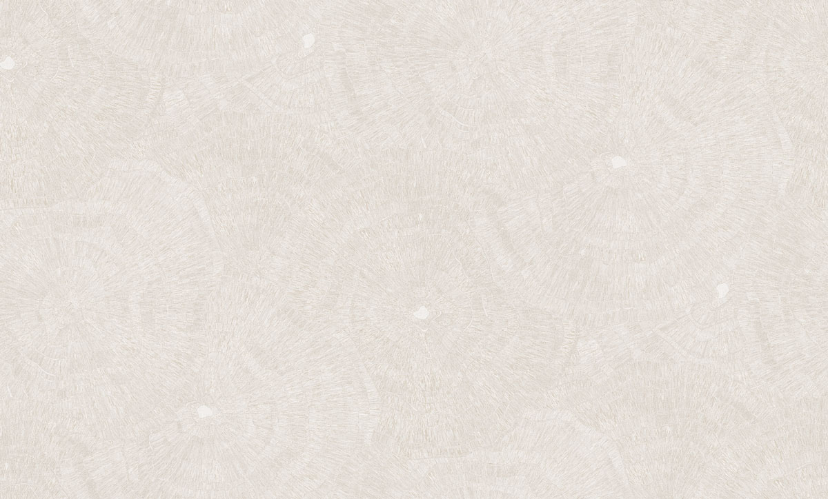SN76621 6621