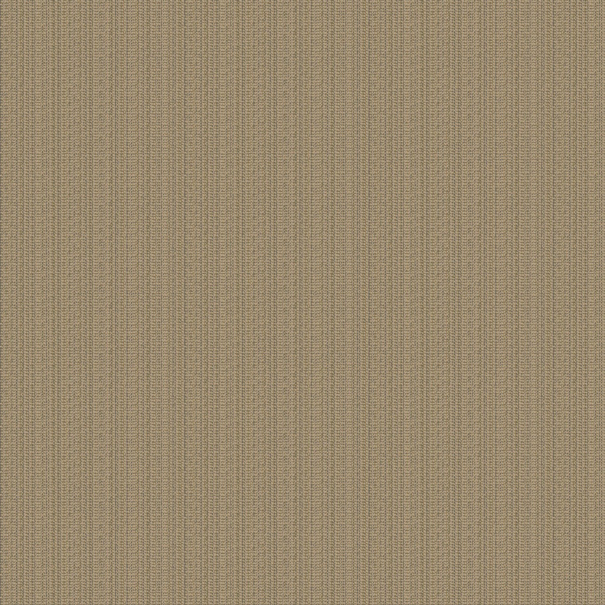 MD 781852 0904