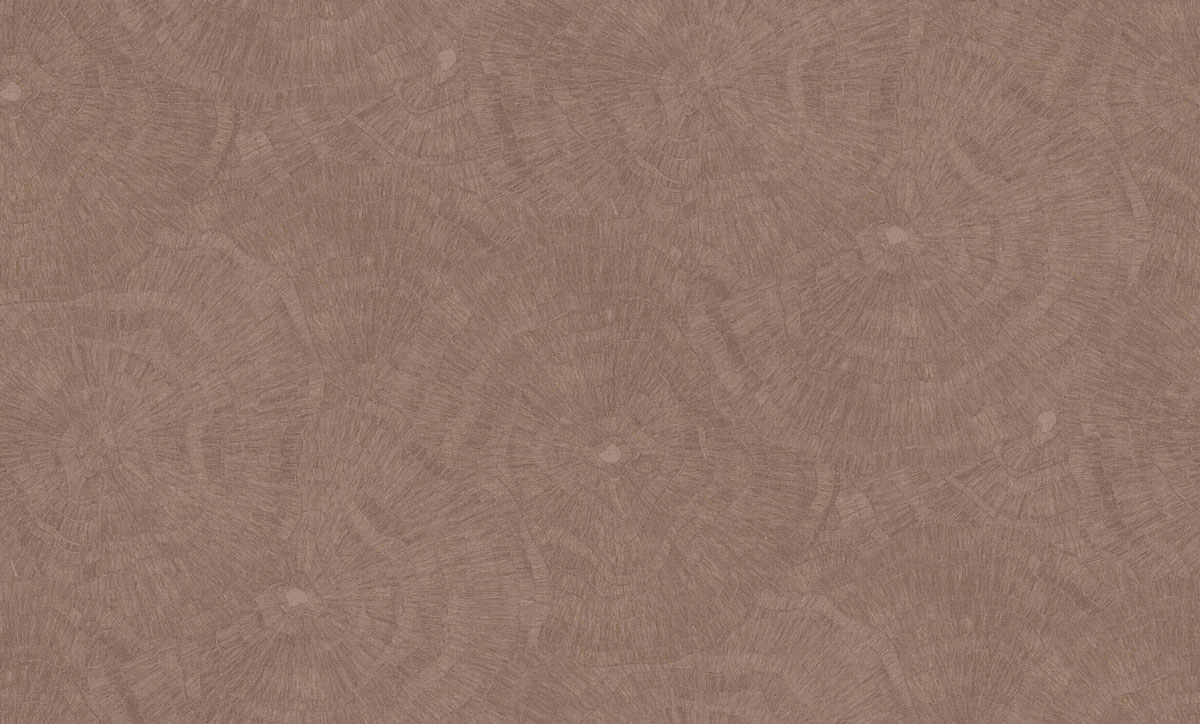 SN76629 6629